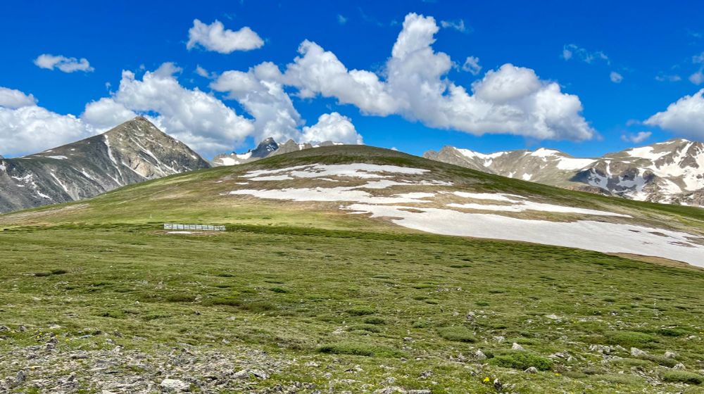 Niwot Ridge