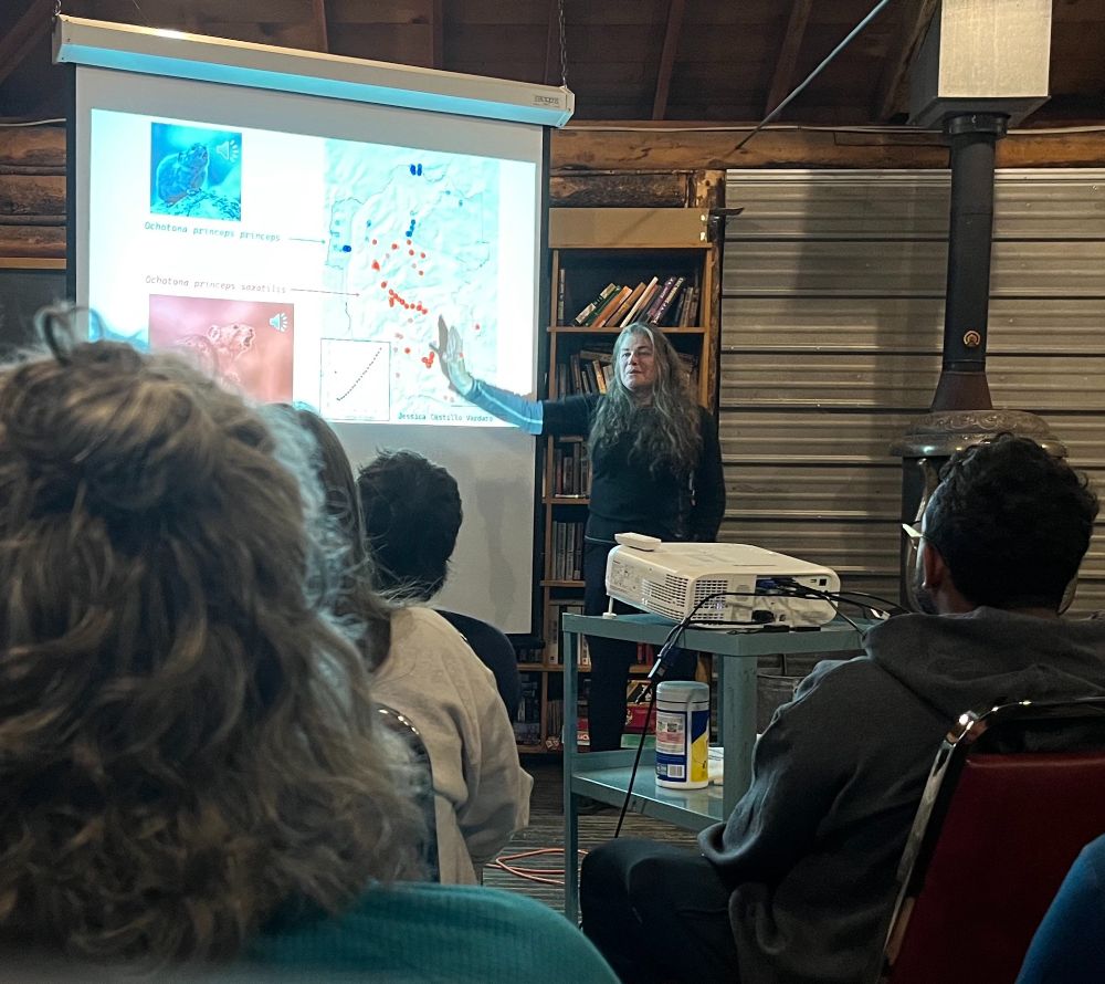 Chris Ray stands in front of an audience giving her talk and slideshow on pika vocalizations in an old wooden cabin at the Mountain Research Station, July 2025.