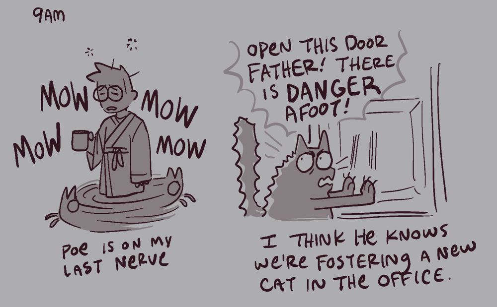 Poe the cat runs annoyingly around at 9am. He scratches and hollers at the door