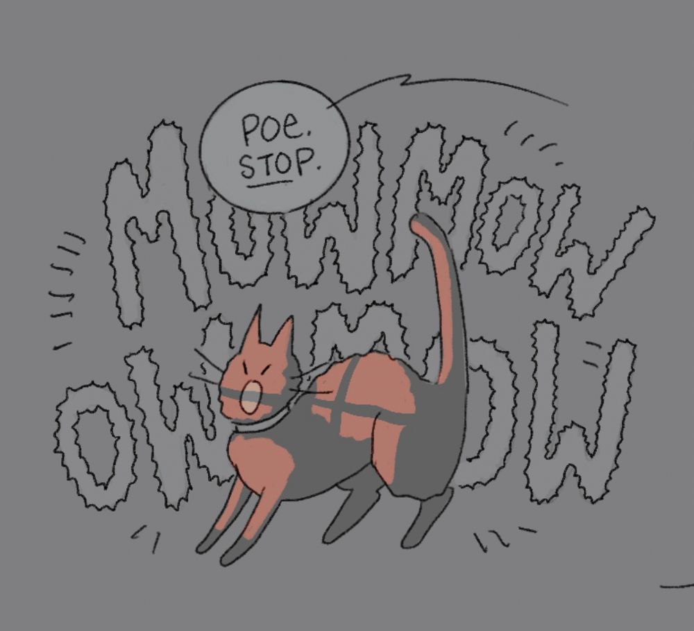 Poe the cat yells loudly in the red light of the fire
