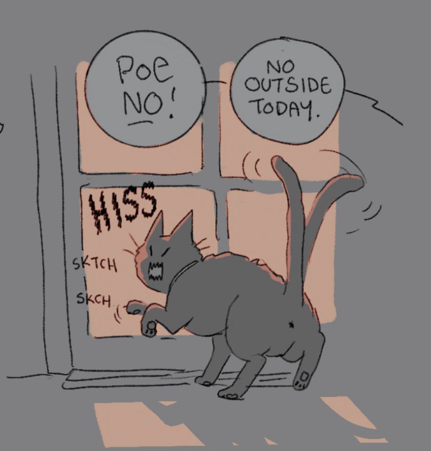 He scratches at the door to be let out even though the sky is deep red