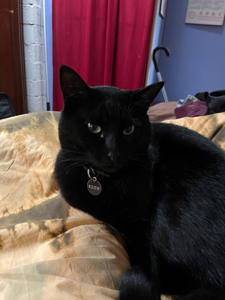 Keith is the black cat that lives at the place i’m billeting at. he was slow to warm up but this morning, here he is, purring on my feet