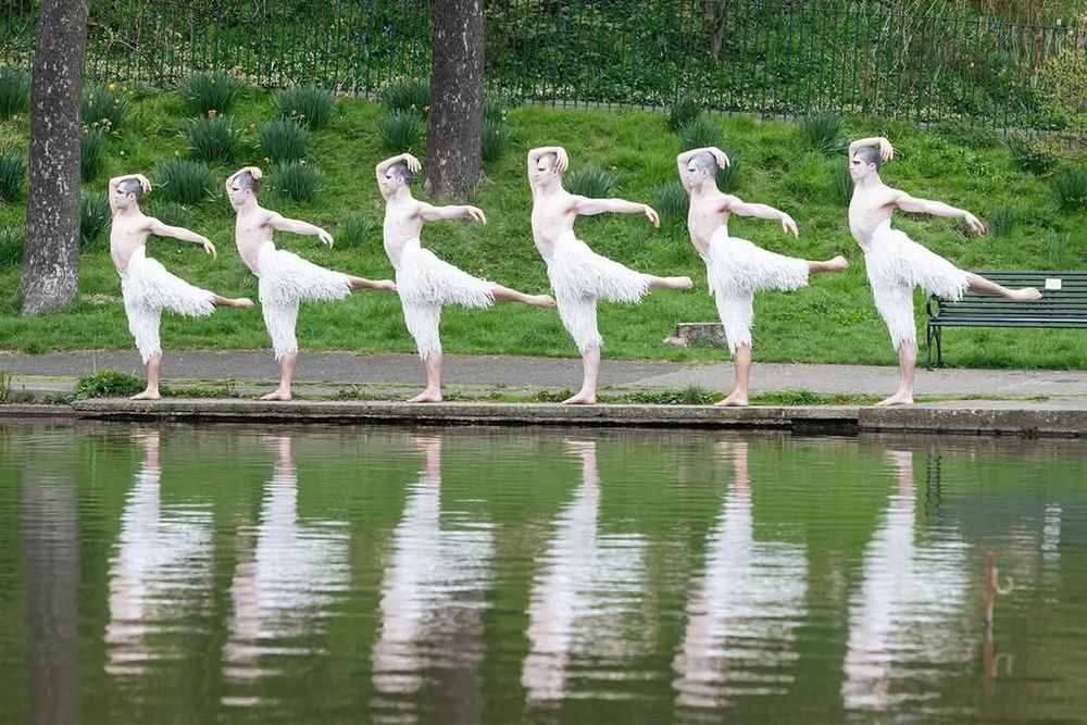 Photo by Tom Duffin of six male dancers from Matthew Bourne's Swan Lake. They are lined up along the edge of a pond in arabesque. Their reflections in the water look like swans.