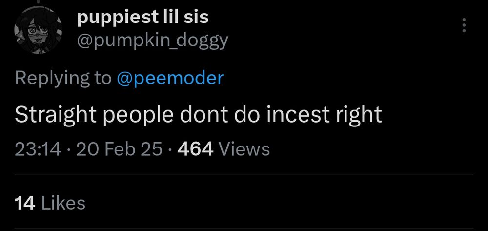 Puppiest lil sis (@pumpkin_doggy) on Twitter says, "Straight people dont do incest right"