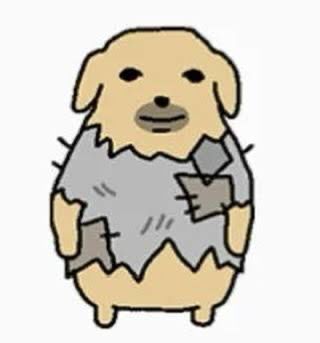 dog wearing patched up clothing