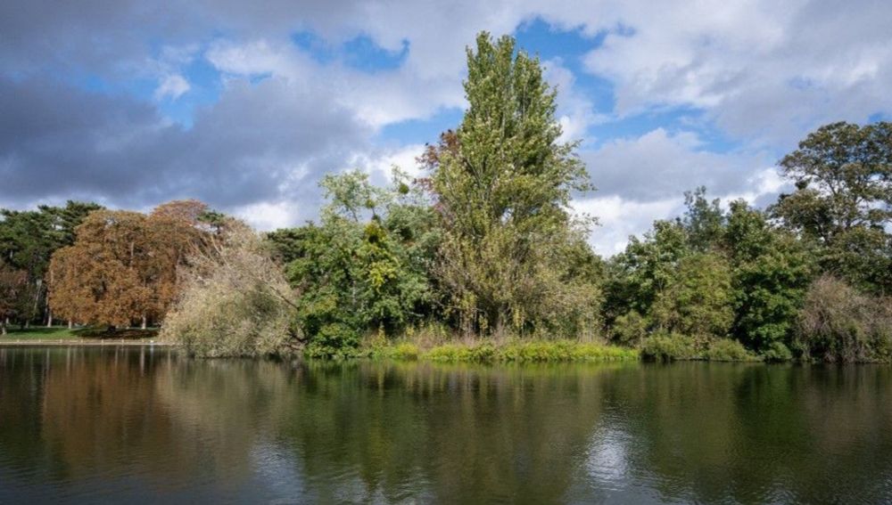 Étudiante retrouvée morte au bois de Boulogne : un suspect interpellé en Suisse - France Bleu