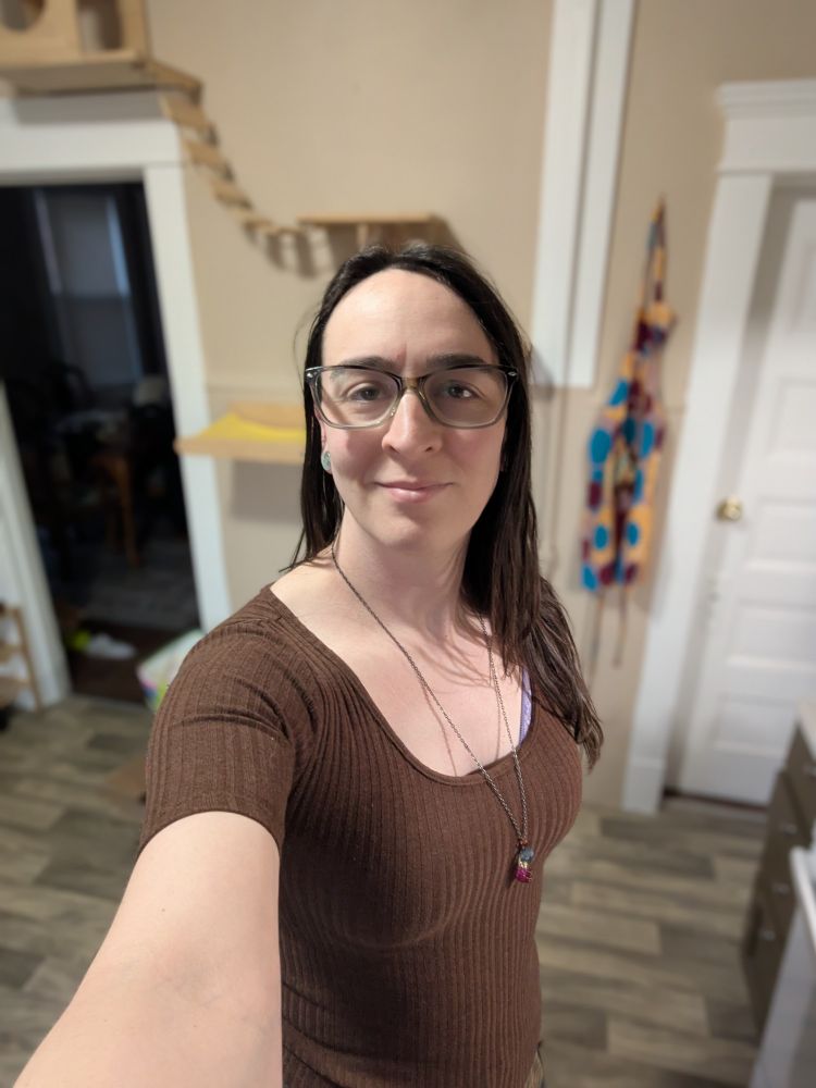 A woman taking a selfie. Wearing a low cut, short sleeve, brown T-shirt. She has black hair that's brushed back and then cascading over the front of her left shoulder. She wears a small crystal pendant colored half purple and half blue. She also wears a pair of plastic framed glasses.