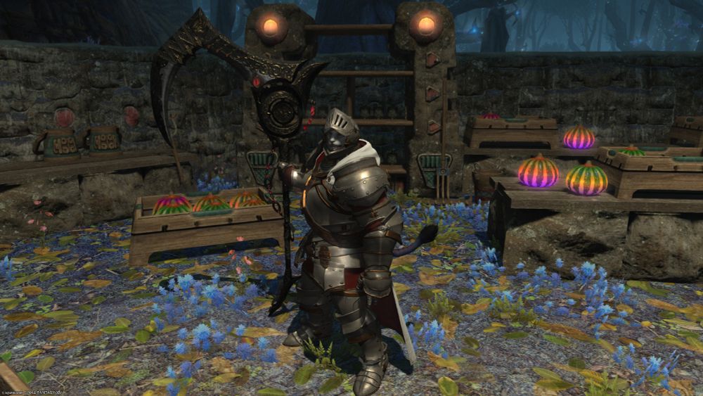 Silly Cat Knight wandered into rainbow melon garden. Smiling thinking about eating a melon on a hot day.