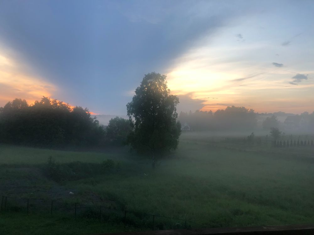 Foggy evening in Poland