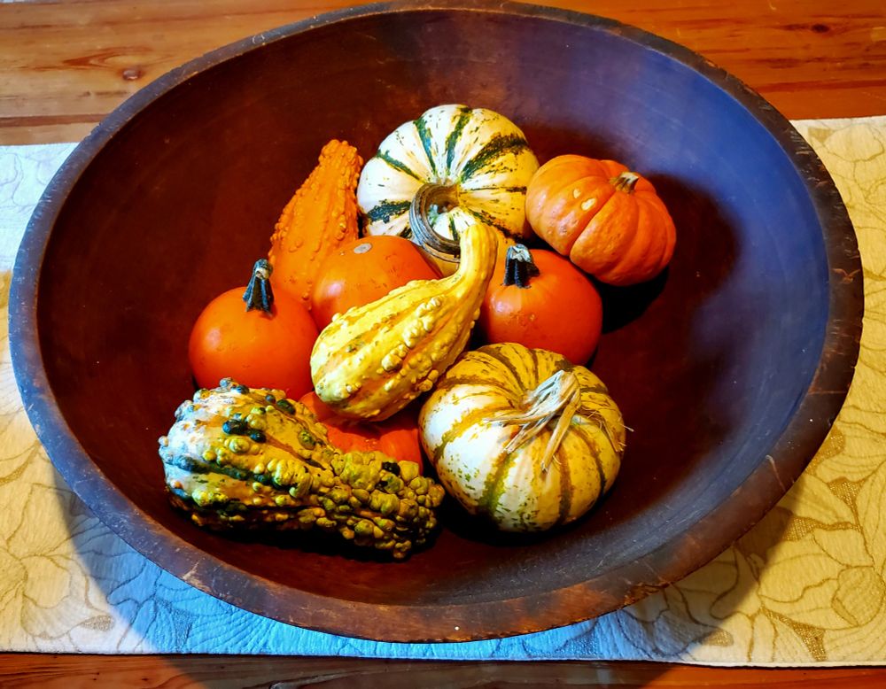 A dark brown wooden bowl holding a number of small gourds and small pumpkins. The colors are orange, pale green, yellow, and cream. A couple of the gourds have knobbly skins. 