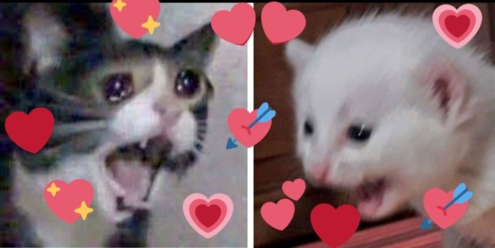 I received a Shadow the Hedgehog bracelet from one kid, a sticker from a little Sonic cosplayer, and 3 siblings wanting to be lifted while they cosplayed as the Alola Pokemon starters when I was dressed as Incineroar. 