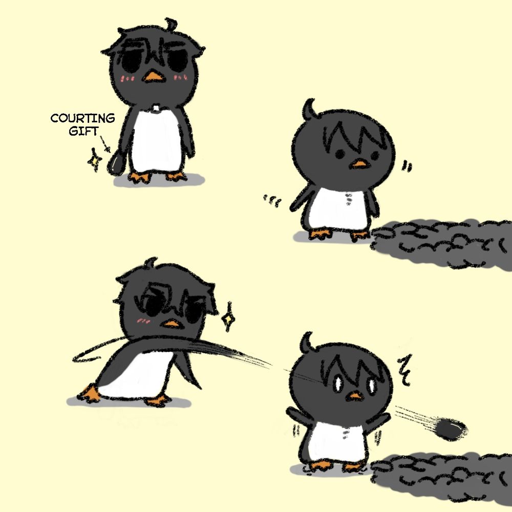 Penguinhyuk found the perfect pebble as a courting gift, but he couldn't bring himself to go up to the cute penguin, so he threw it to Penguinja