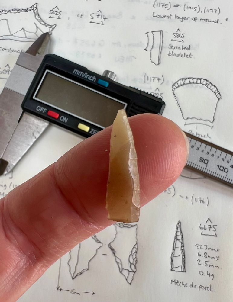 Photograph of a honey-coloured flint artefact, a blade about 22mm long with the two long edges retouched to form a point. It is balanced on the photographers index finger. In the background are a set of calipers and an open notebook.