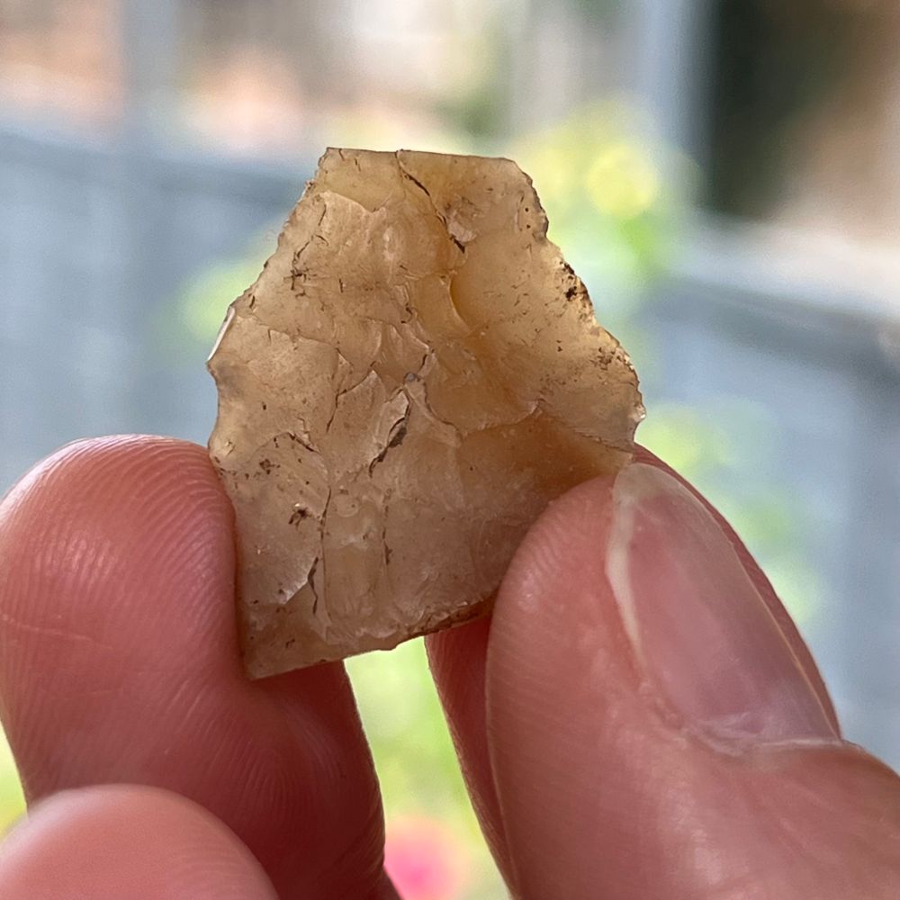 Photograph of a broken early Neolithic leaf arrowhead, held up to the light with the sun coming through the orange translucent flint. It is leaf-shaped, with ridges running across the face from the invasive retouch that thinned the flake.