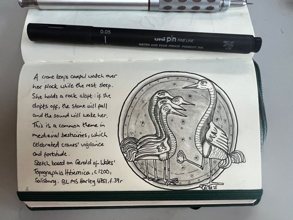 Photograph of a sketchbook page showing a pen and ink sketch adapted from a medieval illustration of a crane holding a rock whilst watching over her sleeping flock. If she drifted off, the rock would fall and the sound jolt her back to wakefulness. Cranes were thus celebrated in the medieval imagination for their vigilance and loyalty.