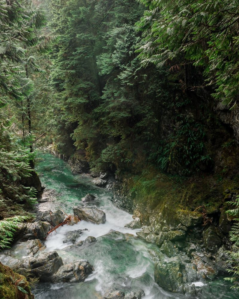 A landscape photo taken in North Vancouver of a river/creek and greenery 