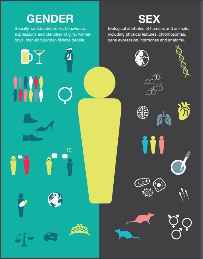 Inforgraphic outlining the differences between Gender and Sex
Gender is a socially constructed roles, behaviours, expressions and identities of girls, women, boys, men and gender-diverse people.  Sex is the Biological attributes of humans and animals including physical features, chromosomes, gene expression, hormones and anatomy.