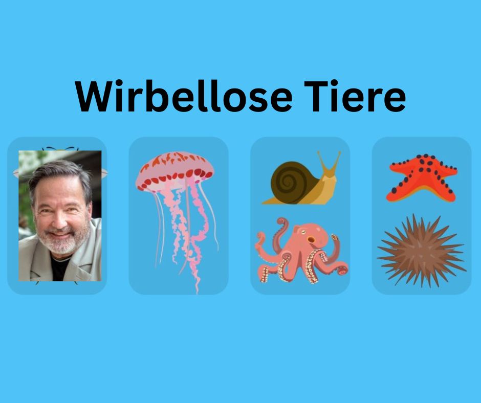 Illustration with the title ‘Wirbellose Tiere’ (Invertebrate Animals) showing five boxes. Four boxes contain drawings of invertebrates: jellyfish, snail, octopus, starfish, and sea urchin. The first box incorrectly shows a smiling man, which does not fit the category.