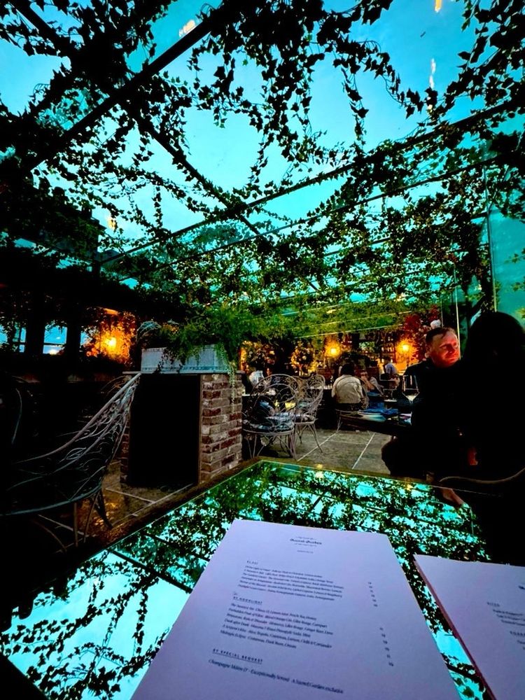 a glass covered roof terrace adorned in ivy