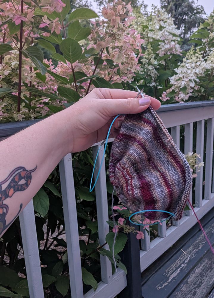 A hand holding an in-progress knit hat in front of a weathered deck and blooming hydrangeas.  The hat, which is being knit from the top down, is knit in hand dyed yarn that is pooling in uneven stripes of grey, burgundy, and tan.  The hydrangeas are pink and white.