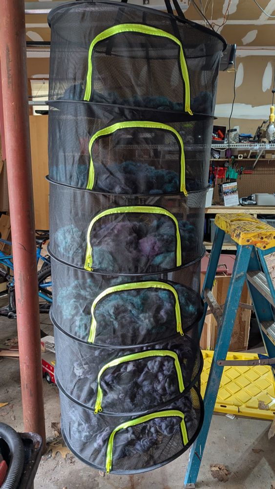 A multi-layered mesh drying rack hanging in a messy garage.  The black drying rack, which is meant for herbs, has six levels, each with a bright green zippered opening, and all six levels are full of drying wool which can be glimpsed through the black mesh fabric.