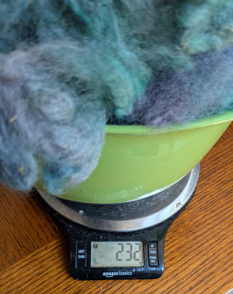 A bowl of unspun, uncarded wool on a kitchen scale.  The bowl is green, the scale is black and silver, and the fiber is varying shades of blue, green, and purple.  The scale has been tared to remove the weight of the bowl, showing that the fiber weighs 232g.