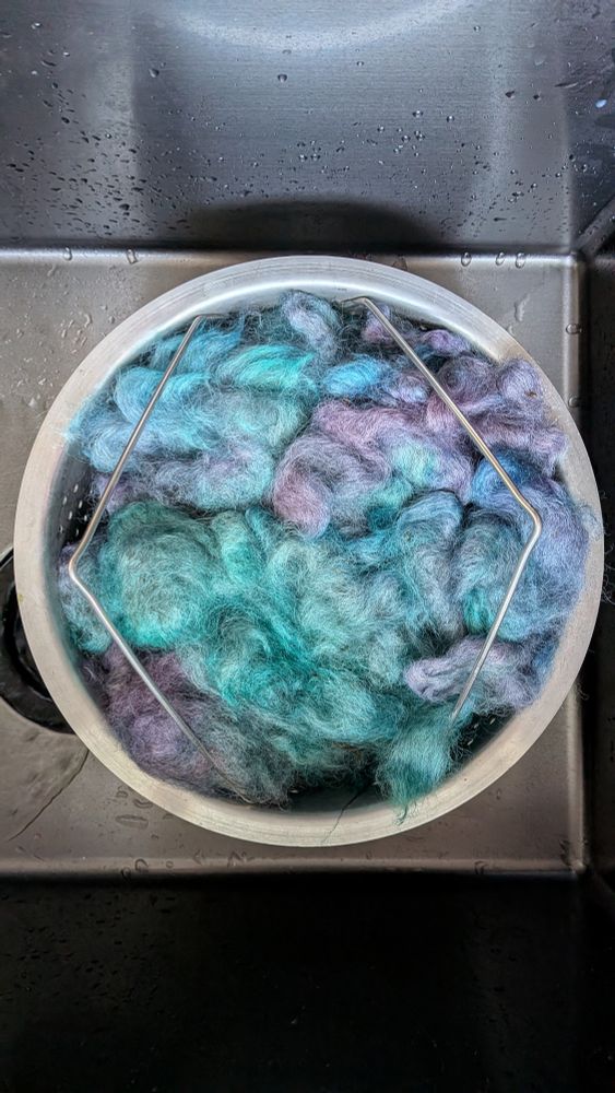 A metal strainer, sitting in a metal sink, full of brightly colored wool.  The wool has not been processed besides scouring and dyeing, and is still mostly clumped in wavy locks.  It has been dyed shades of turquoise, ocean green, lavender, and lilac.