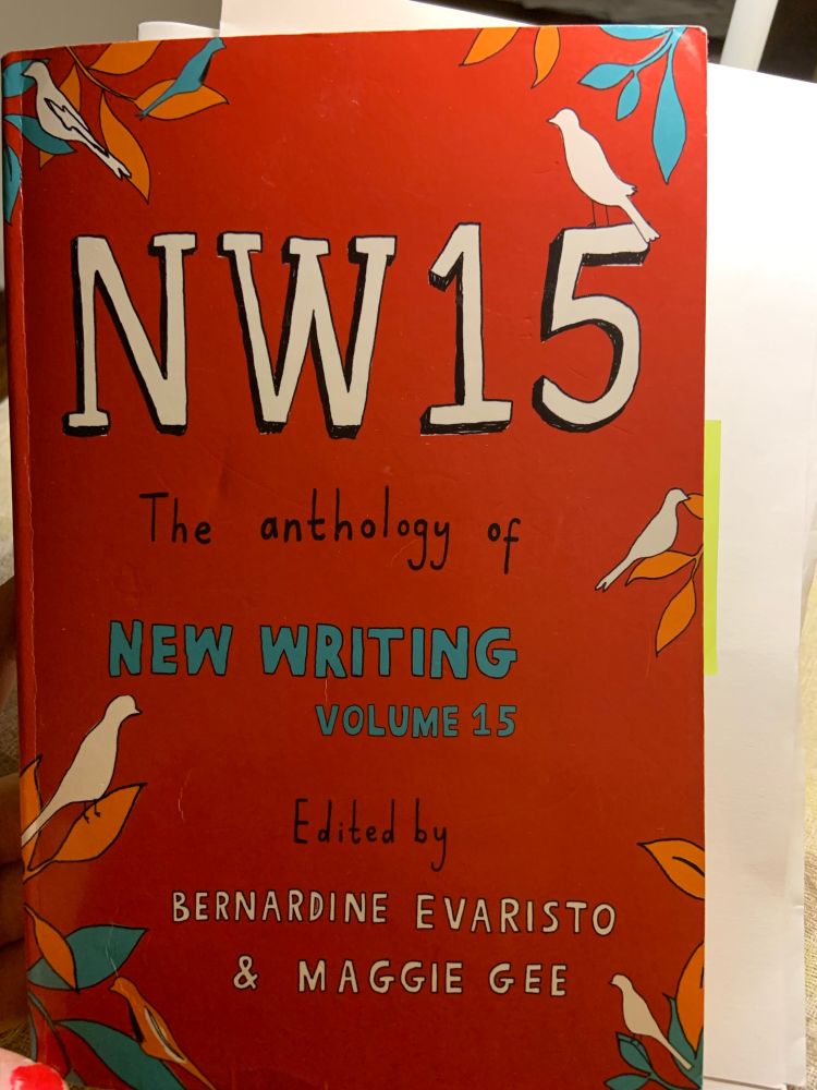 Bright red book cover, paperback, title in white, black, and blue letters: NW15 The anthology of New Writing Volume 15, Edited by Bernardine Evaristo and Maggie Gee, decorated with small white birds and blue and orange foliage