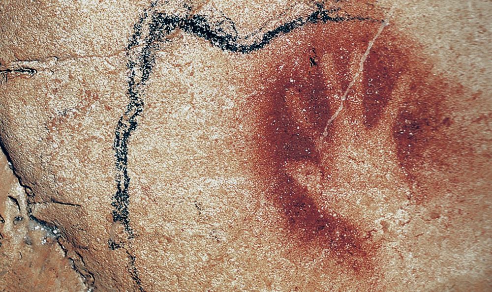 The trunk, head and dorsal hump of a mammoth drawn in black outline. A silhouette of a hand, painted in red placed within and partially over it. On the beige, scratched wall of a limestone cave 