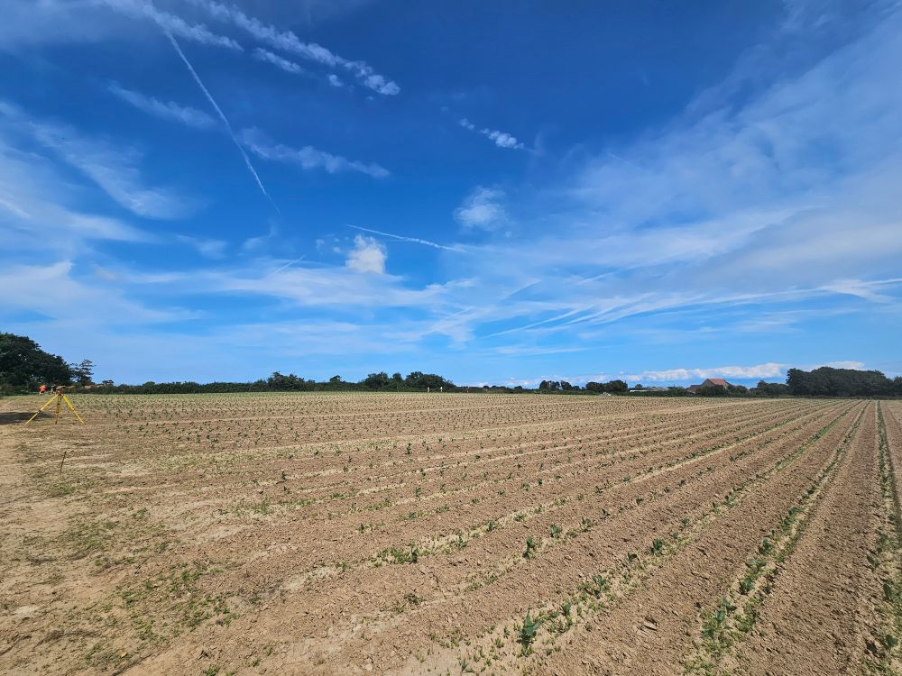 A large field under a blue sky. A surveying level. Flags. Archaeologists in the distance. 