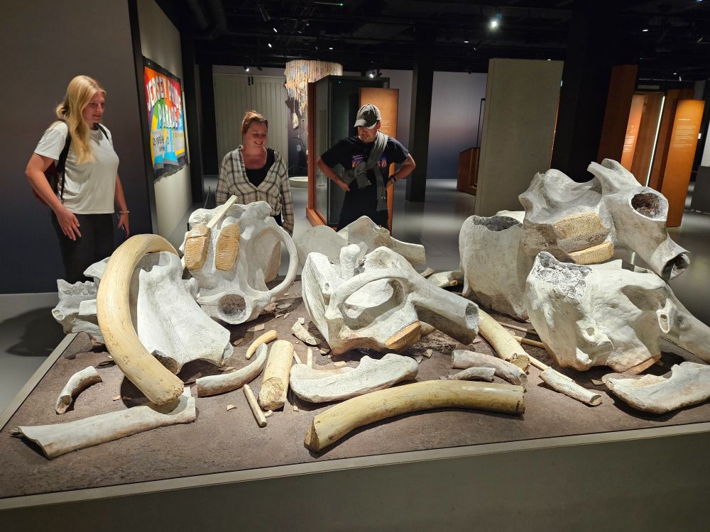 People looking at the model of a bone heap of mammoth bones