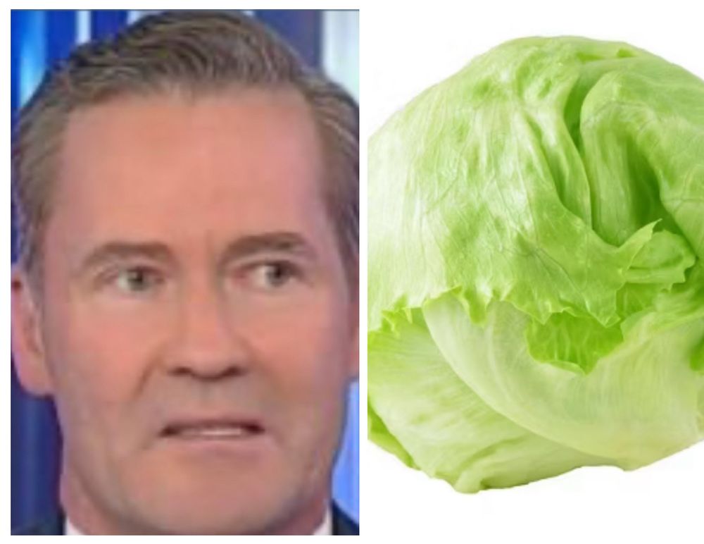 Head of lettuce vs. head of Waltz