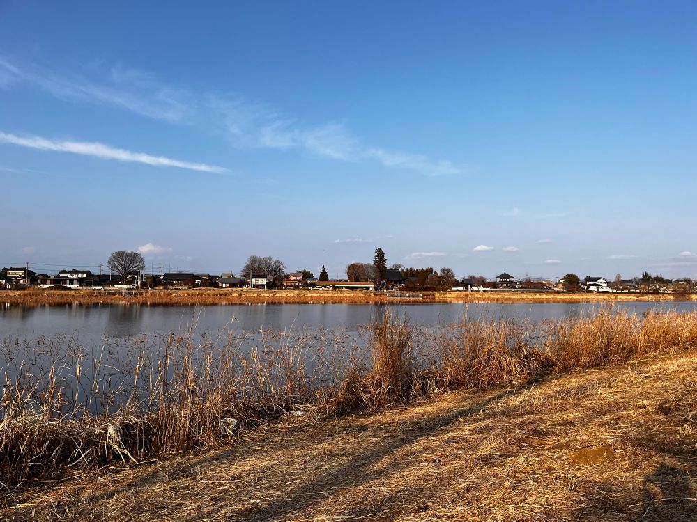 館林市が誇る里沼のひとつである城沼を有するつつじが岡公園。その昔この公園の場所に城が建っていたらしく、その城への城攻めに対してこの城沼が防壁の役割を果たし、大変大いに役立ったという事で、ここの城沼は「守りの沼」として里沼文化のひとつとして崇められるようになったのだとか。