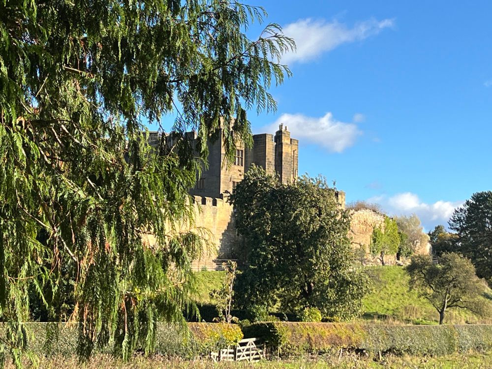 Castle set in a rural landscape with trees (Bothal Castle, Morpeth)