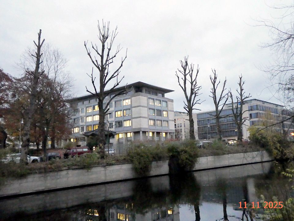 Insgesamt sind fünf Bäume betroffen, darunter wohl auch zwei Linden, das ganze verschnittene Ensemble eine Art Allegorie auf den nunmehr seit Dekaden herrschenden Grünpflegenotstand in Berlin. Während die Außenbezirke (Neukölln und Spandau) des Wasserstr. und Schifffahrtsamts Spree-Havel inzwischen die Leitlinien zur Baumpflege an Bundeswasserstr. zunehmend beherzigen, liegen die Dinge auf der materiell und personell chronisch unterversorgten Ebene der Bezirke nach wie vor im Argen. "Wir machen nur noch Verkehrssicherungspflicht", ließ sich ein Mitarbeiter angesichts der letzten Mittelkürzungsrunde vernehmen — und so sieht das dann aus.