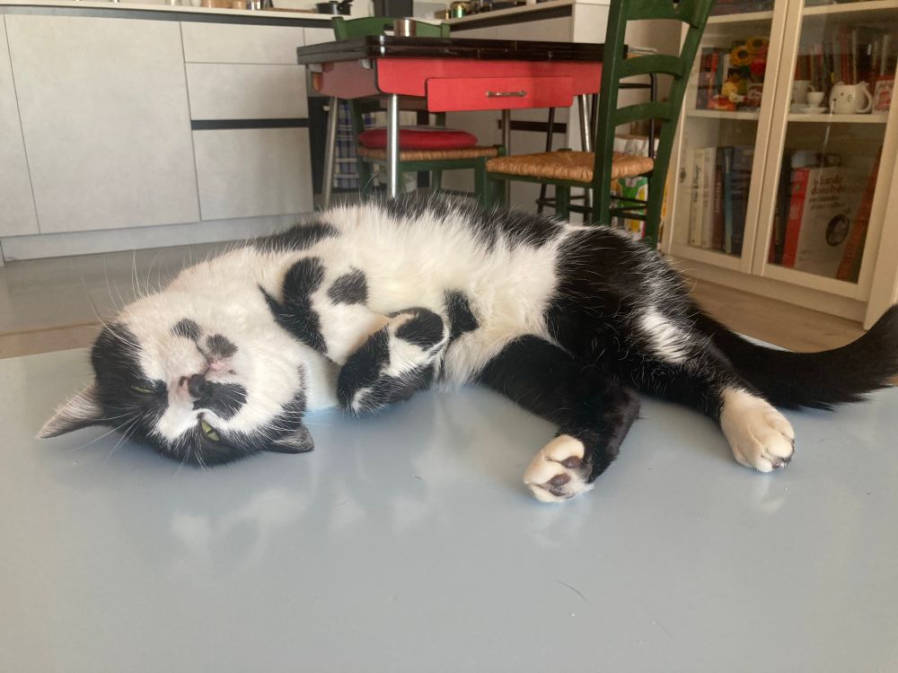 C’est moi que je suis couchée sur ma petite table.