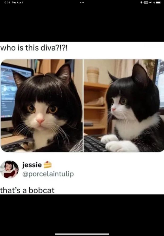 Comment image