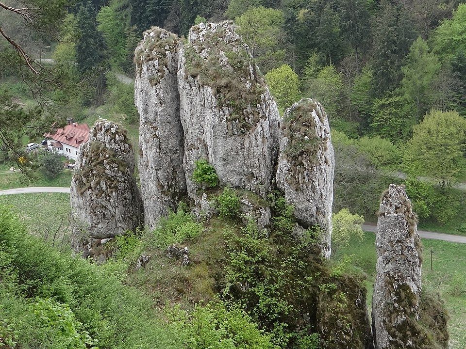 Jurassic rock formations in the Ojcowsky Park Narodowy (Ojców National Park).
From Wikipedia