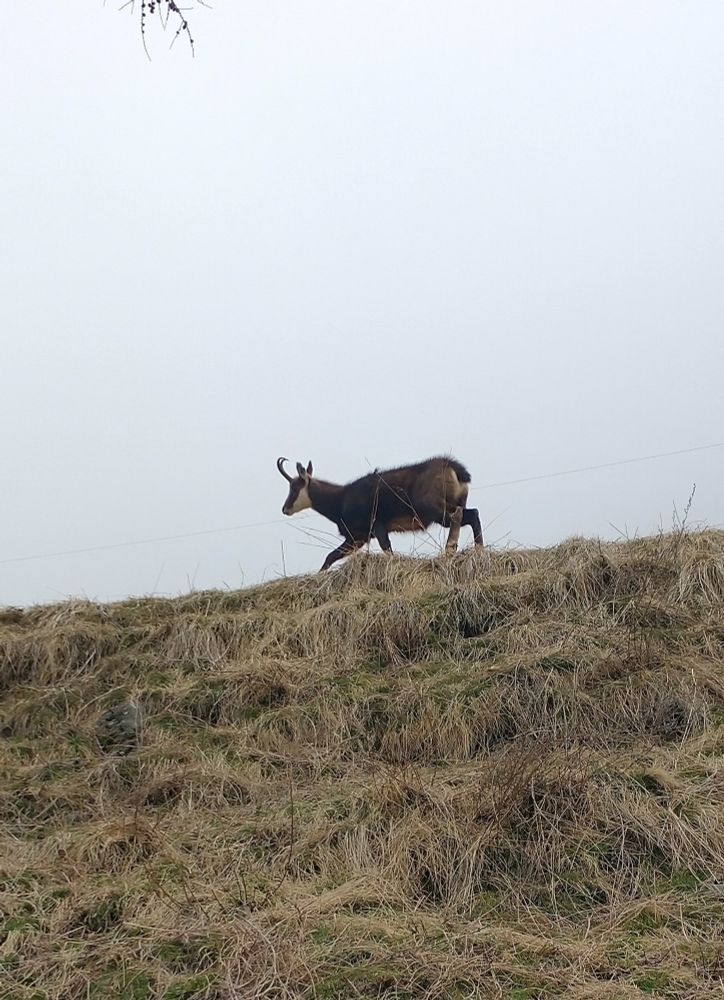 The same individual walking away 