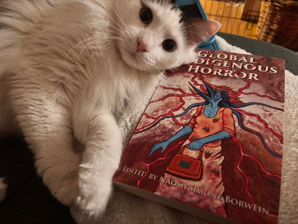 A white and black long haired cat laying next to a copy of Global Indigenous Horror edited by Naomi Simone Borwein
