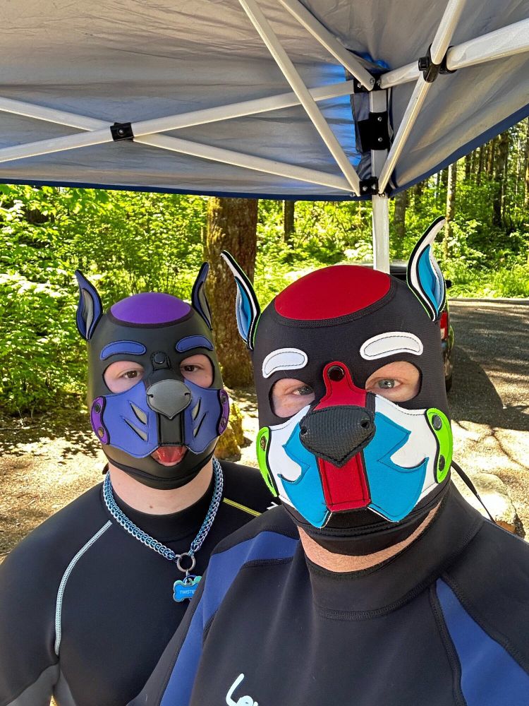 Two camping pups staring at the camera in hoods and wetsuits, Twister with her tongue out 👅