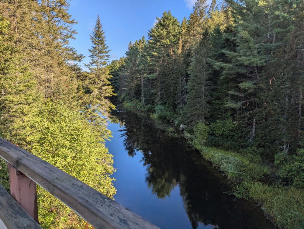 Photo of a lake inlet with trees on either side on either side of a bridge, in Algonquin Park, Ontario, Canada.