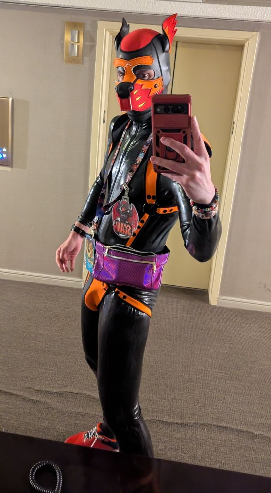 Scani in a pup hood, catsuit, and orange harness at FE 2025. Self-taken.