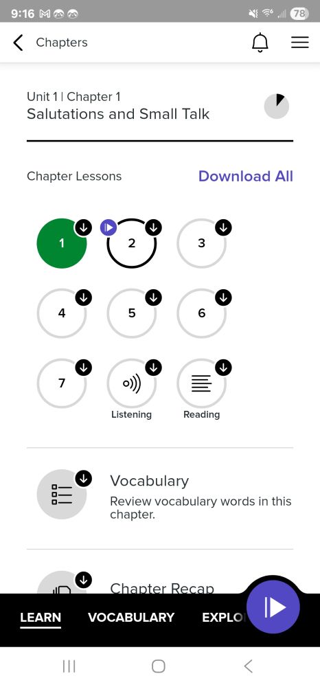 Very basic text-based lesson interface from Mango Languages app. There are unit and lesson numbers, a vocabulary tab and a chapter recap tab.