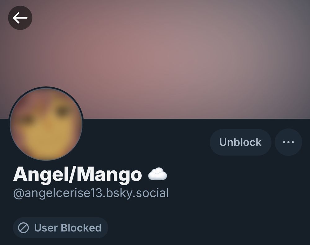 Screenshot of a blocked profile by the name of “Angel/Mango”. They have the user @angelcerise13.bsky.social