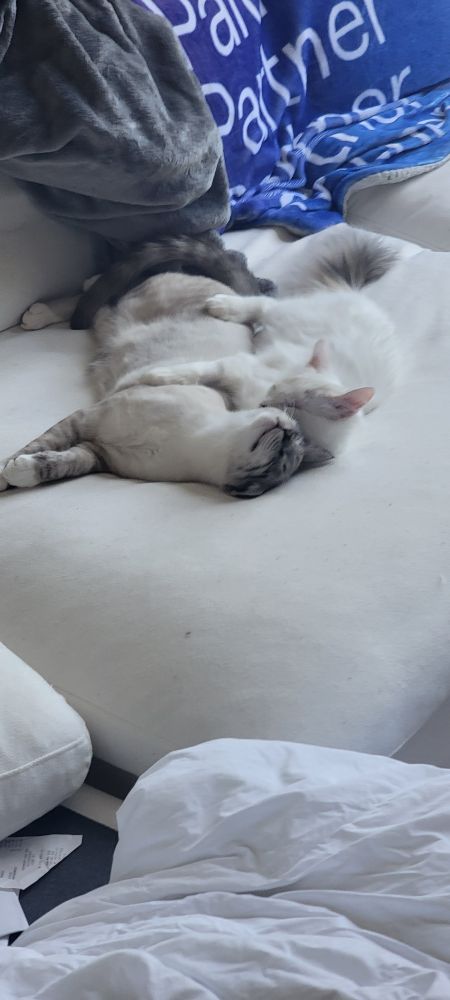 Da