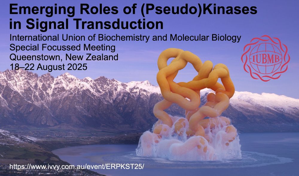 A pseudokinase emerging from Lake Wakatipu at night
