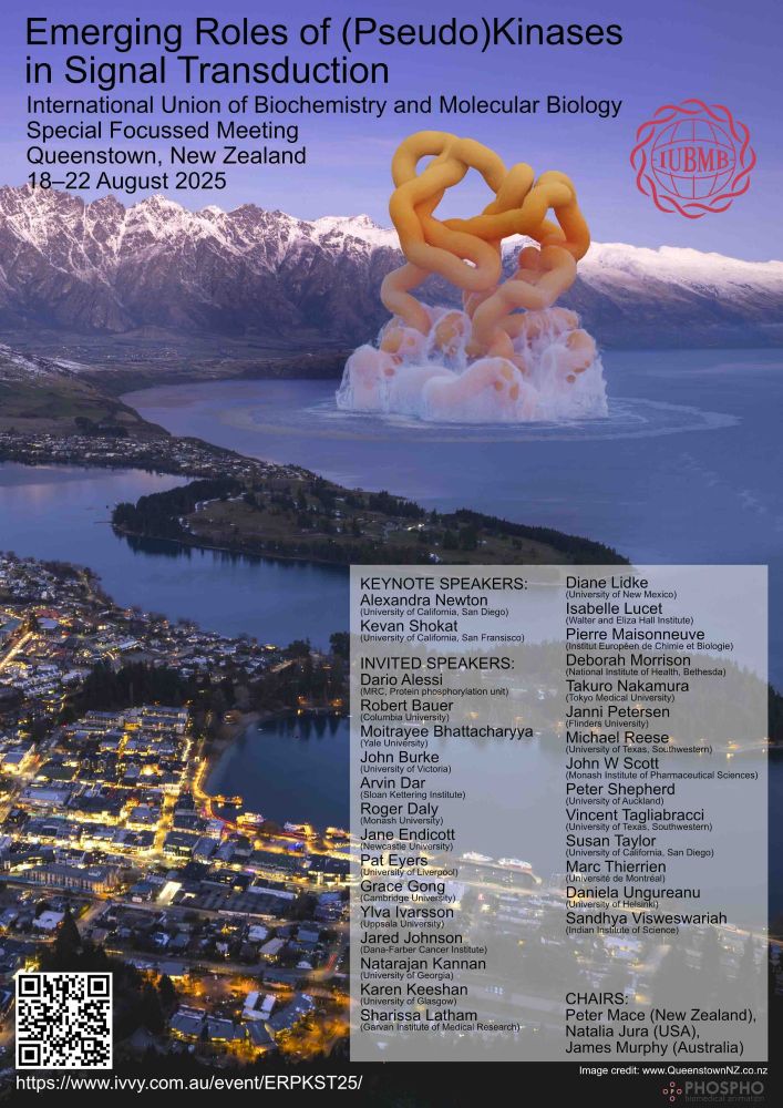 Poster showing a kinase domain emerging from Lake Wakatipu, with a list of speakers