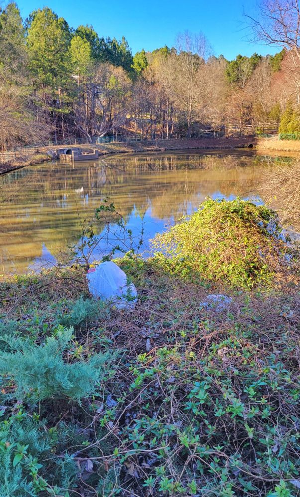 Overlooking a lake with bags of trash thrown halfway down the slope to it