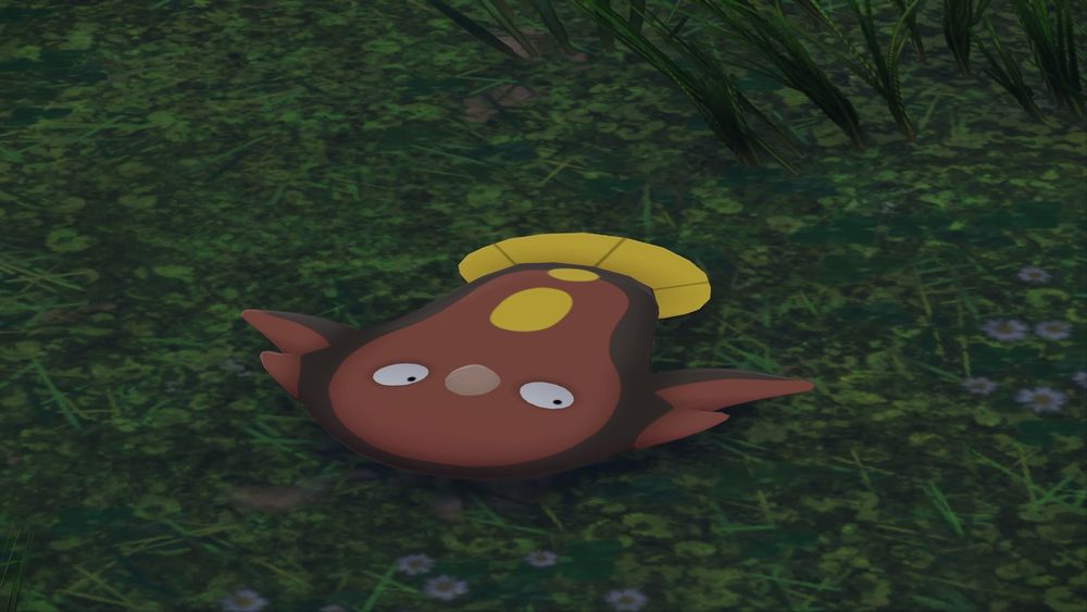 草地の上のマッギョ